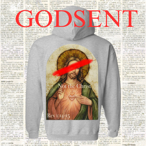 "Not the Christ" Hoodie